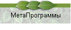 МетаПрограммы
